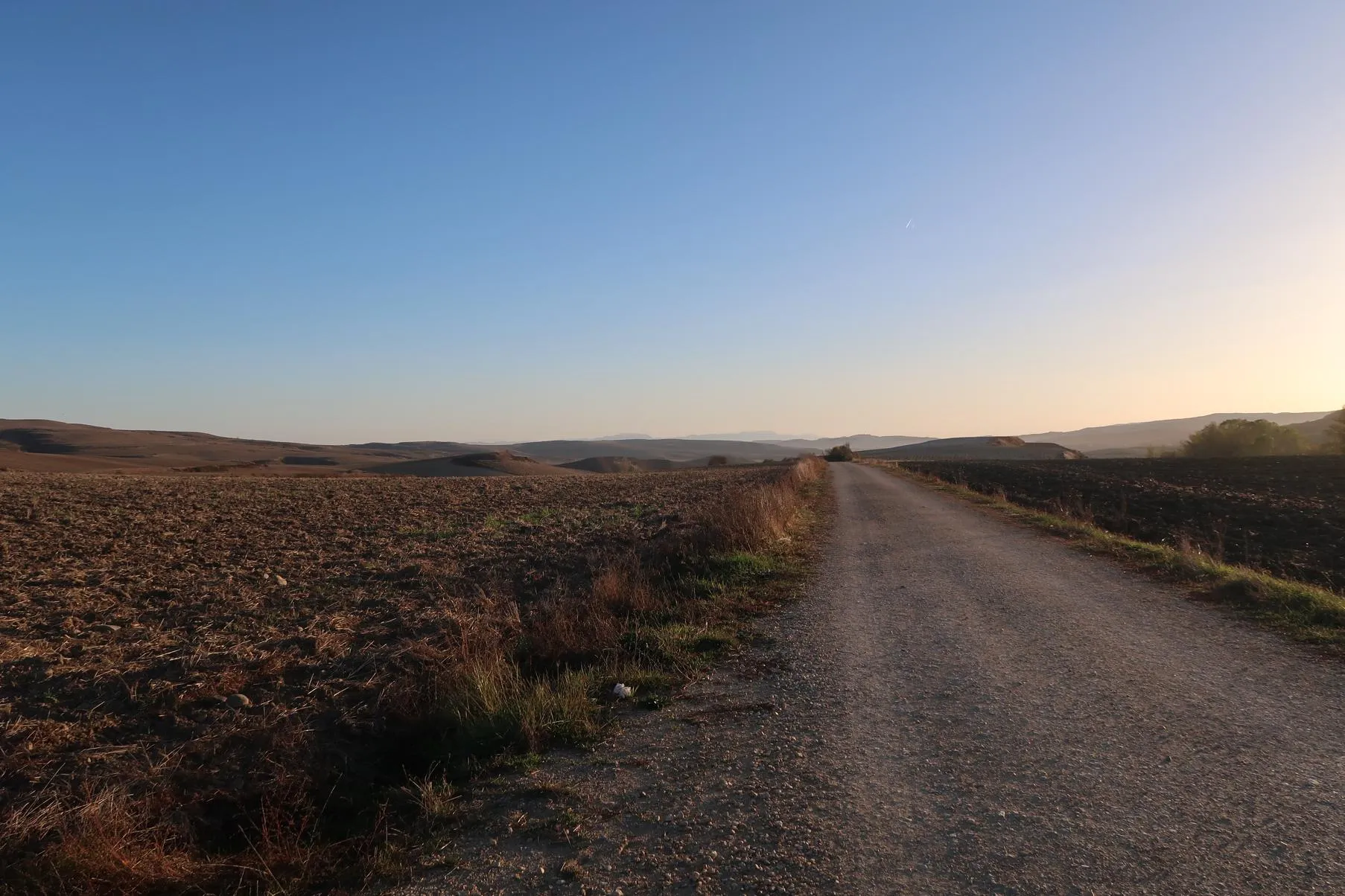 My Camino